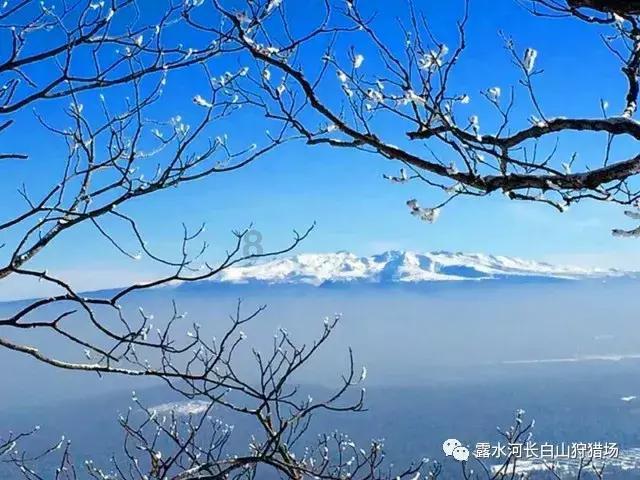 安全的港口